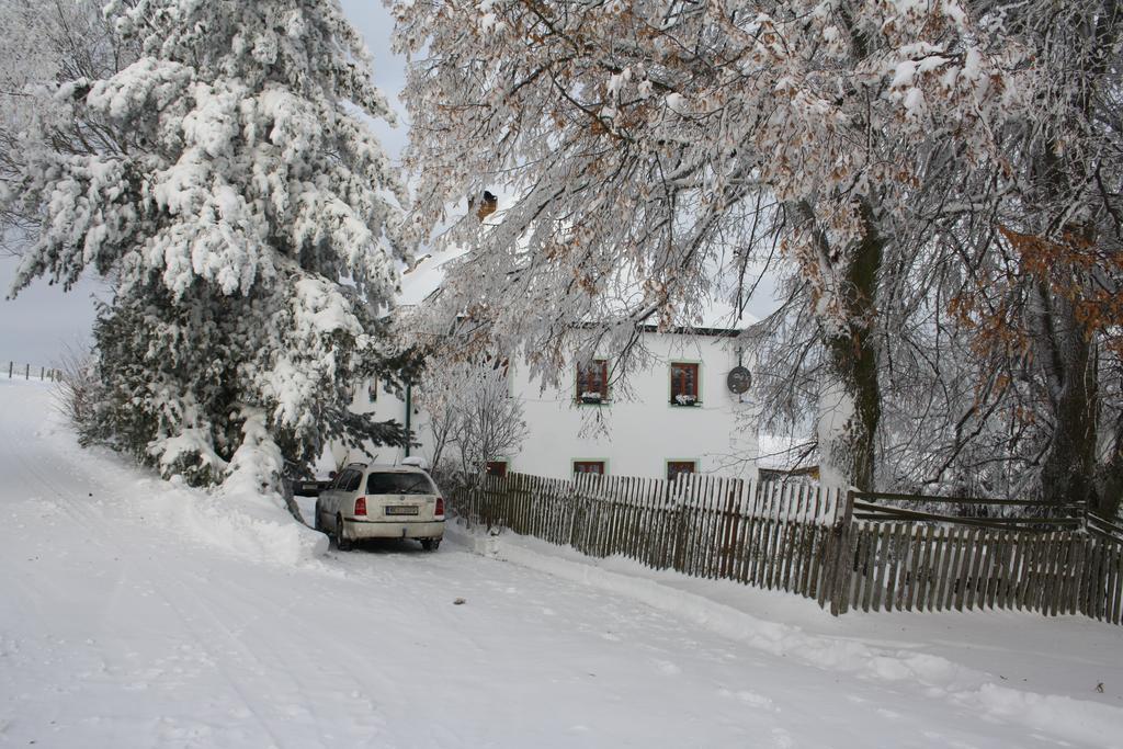 Apartman Hořice na Šumavě Buitenkant foto